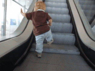 Funny Kid Fail Gif Animated Gif Images GIFs Center